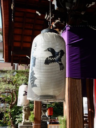 京都熊野神社の提灯の八咫烏